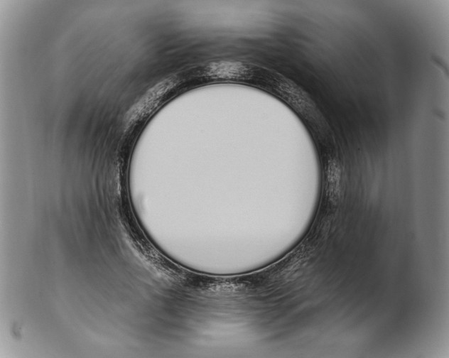 X0000102370734200808221738