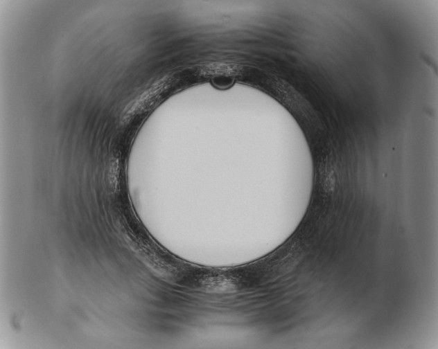 X0000102370735200808221738