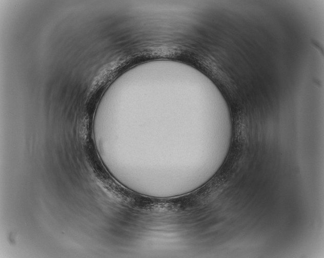 X0000102370736200808221738