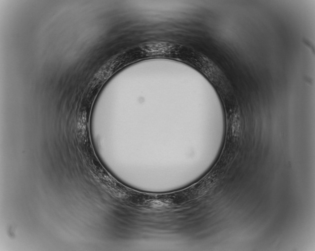 X0000102370737200808221738