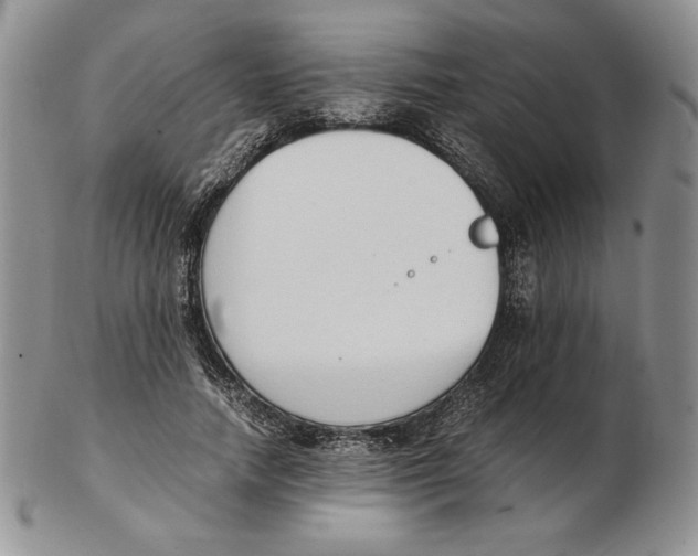 X0000102370738200808221738