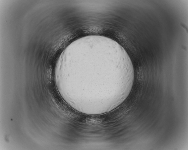 X0000102370739200808221738