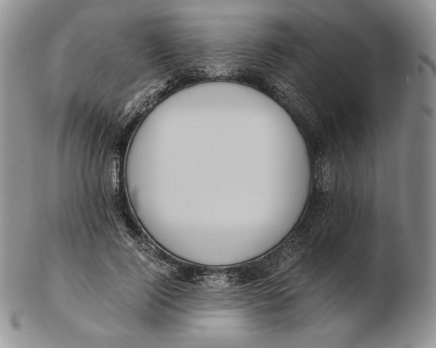 X0000102370740200808221738