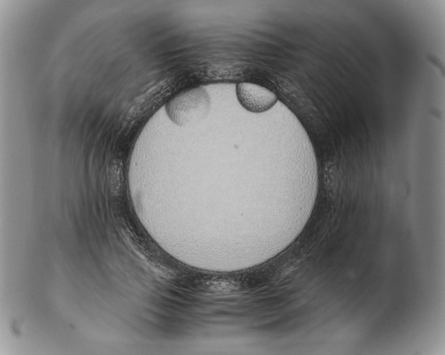 X0000102370741200808221738