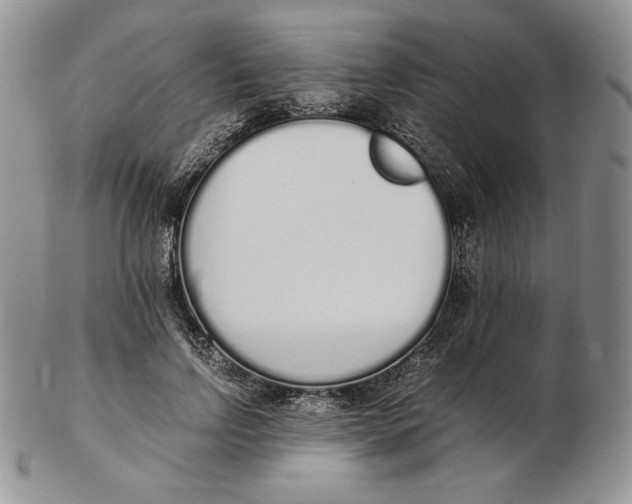 X0000102370742200808221738