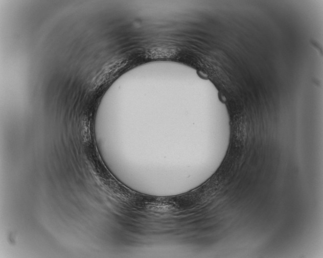 X0000102370743200808221738