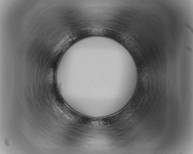 X0000102370744200808221738