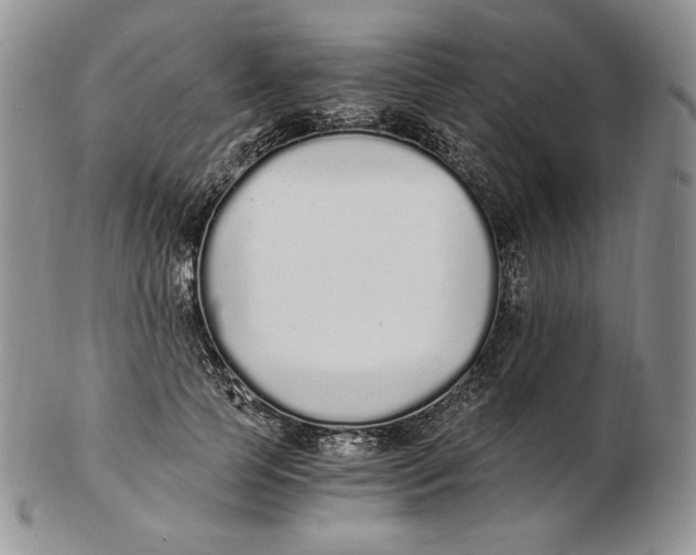 X0000102370745200808221738