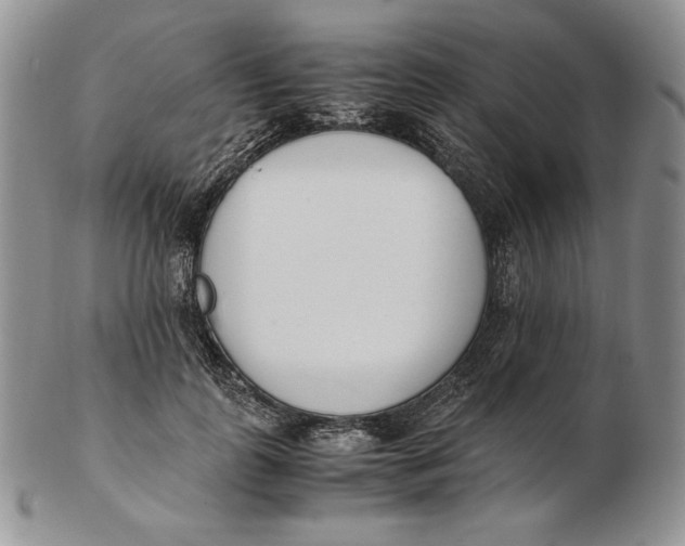 X0000102370747200808221738