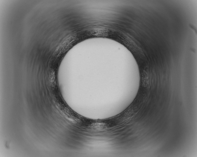 X0000102370748200808221738