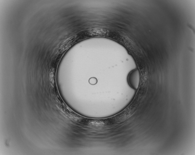 X0000102370749200808221738