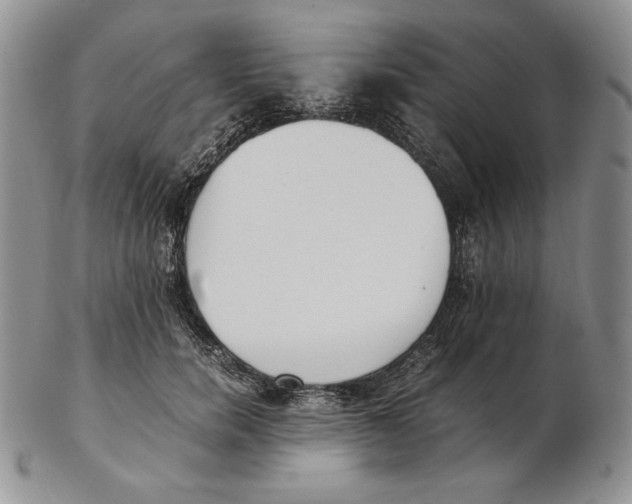 X0000102370750200808221738