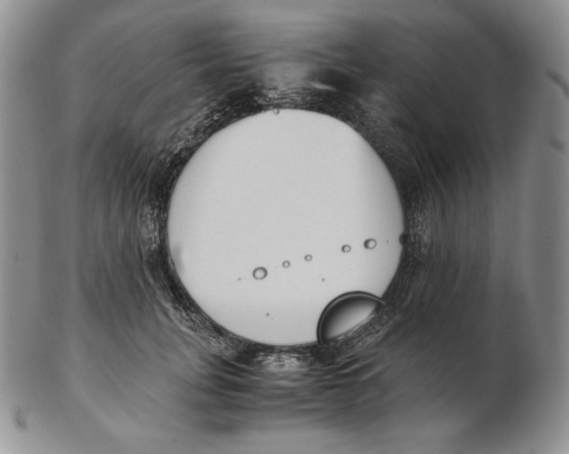 X0000102370751200808221738