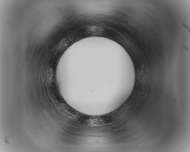 X0000102370752200808221738