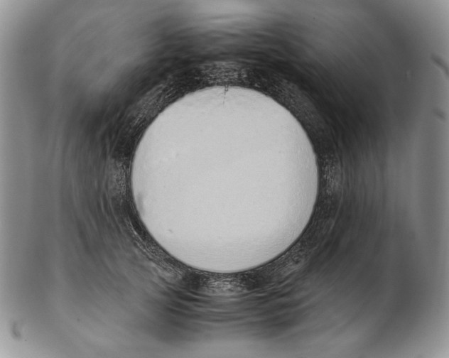 X0000102370753200808221739