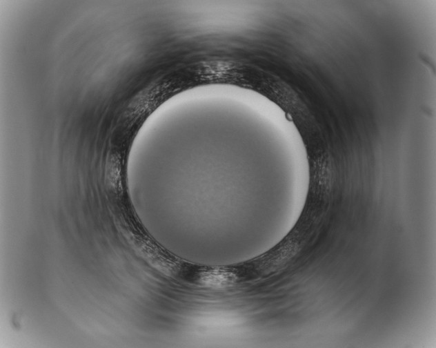 X0000102370754200808221739