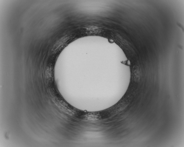 X0000102370756200808221739