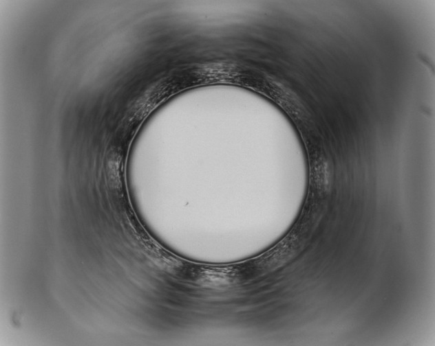 X0000102370757200808221739