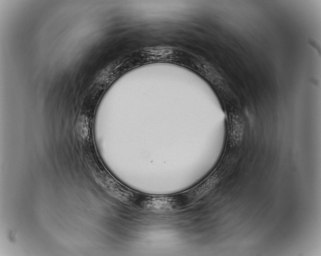 X0000102370758200808221739