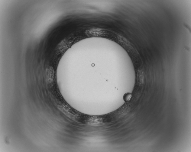 X0000102370760200808221739