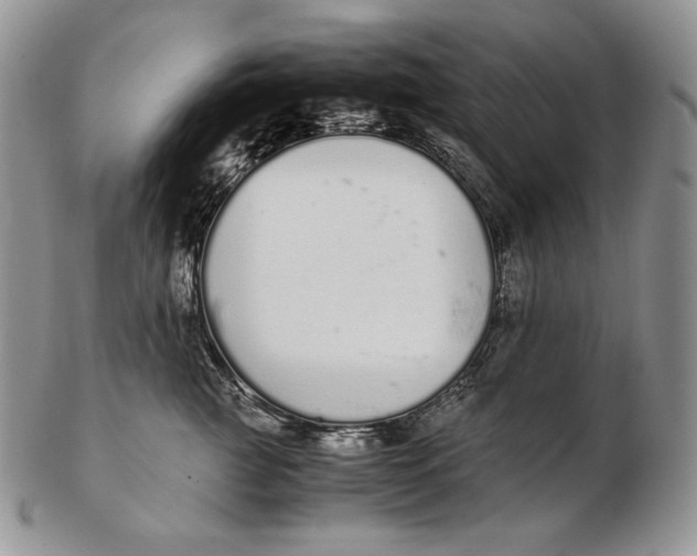 X0000102370761200808221739