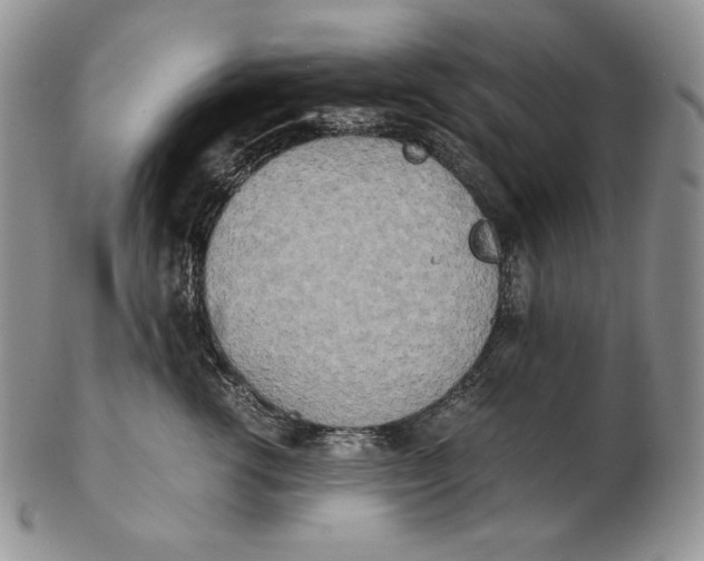 X0000102370762200808221739