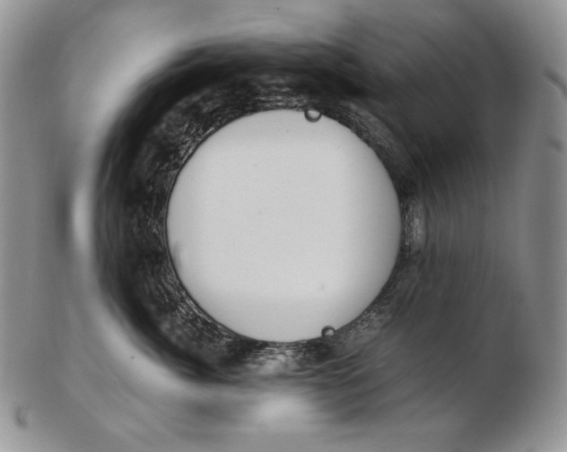 X0000102370764200808221739