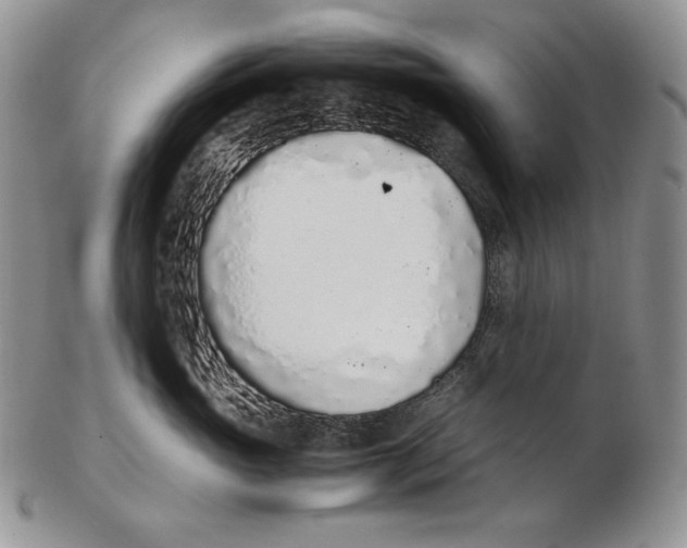 X0000102370765200808221739