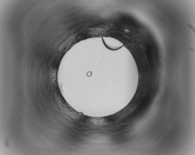 X0000102370767200808221739