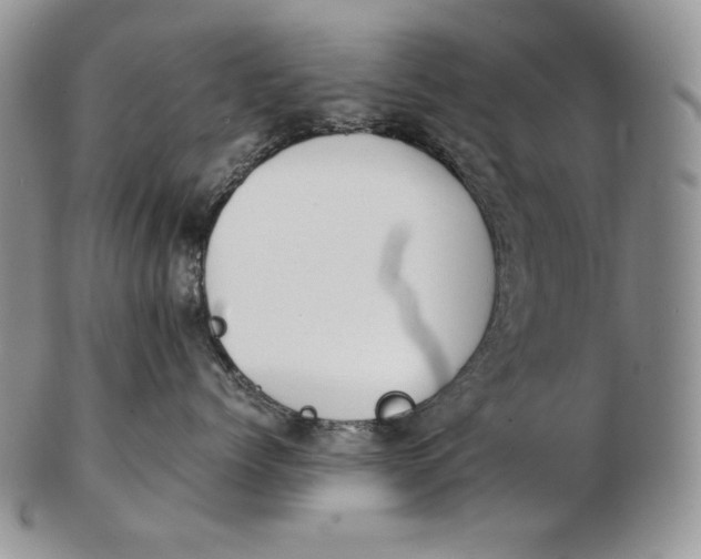 X0000102370768200808221739