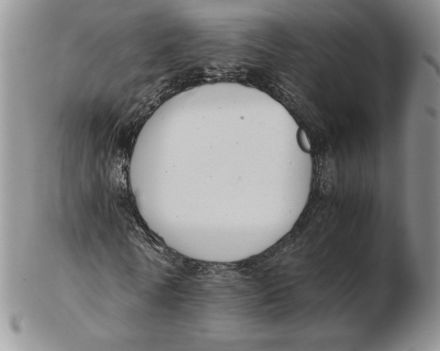 X0000102370770200808221738