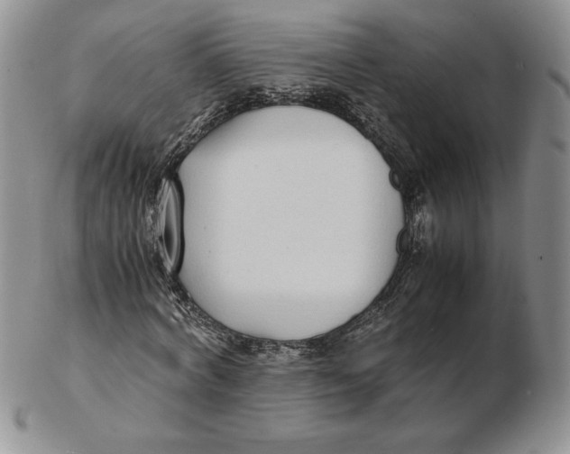 X0000102370772200808221738