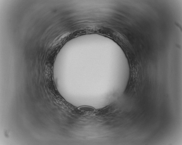 X0000102370773200808221738