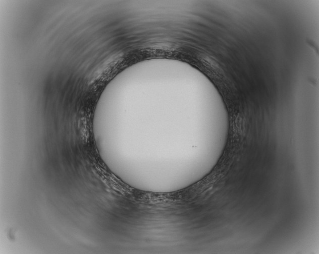 X0000102370774200808221738