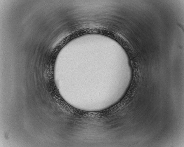 X0000102370775200808221738