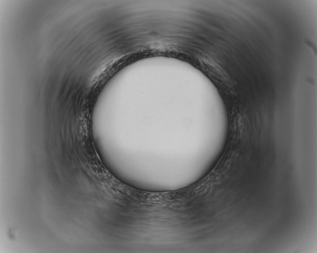 X0000102370776200808221738