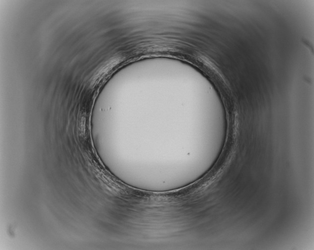 X0000102370777200808221738