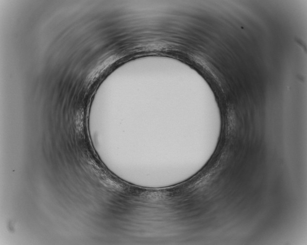 X0000102370778200808221738