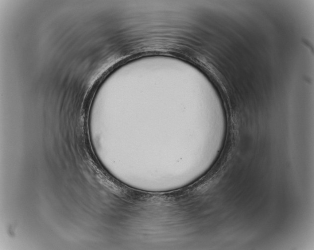 X0000102370779200808221738