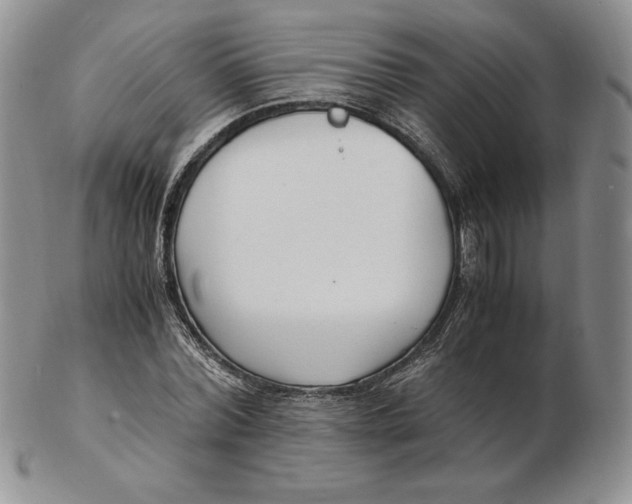 X0000102370780200808221738