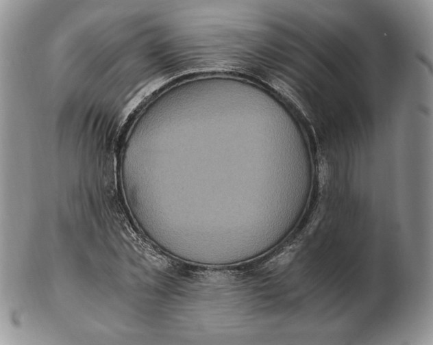 X0000102370781200808221738