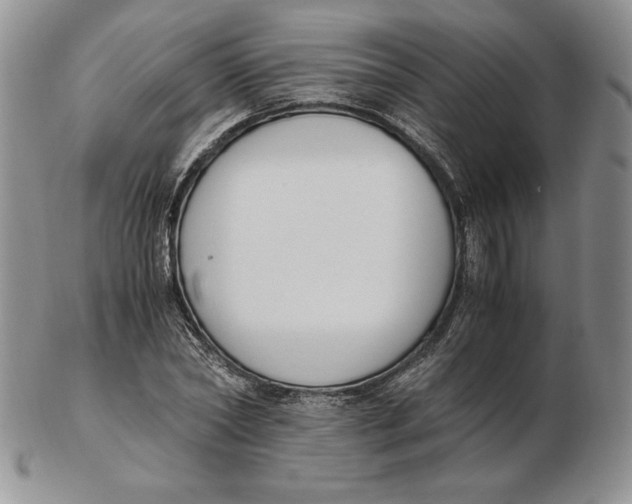 X0000102370782200808221738