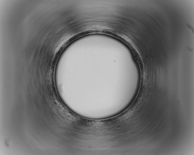 X0000102370783200808221738