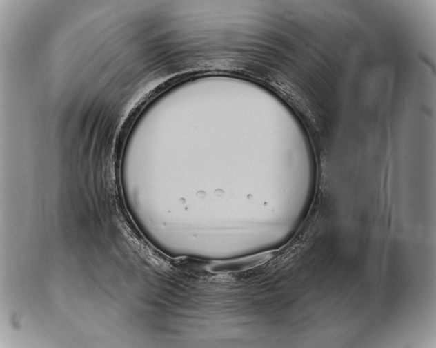 X0000102370784200808221738