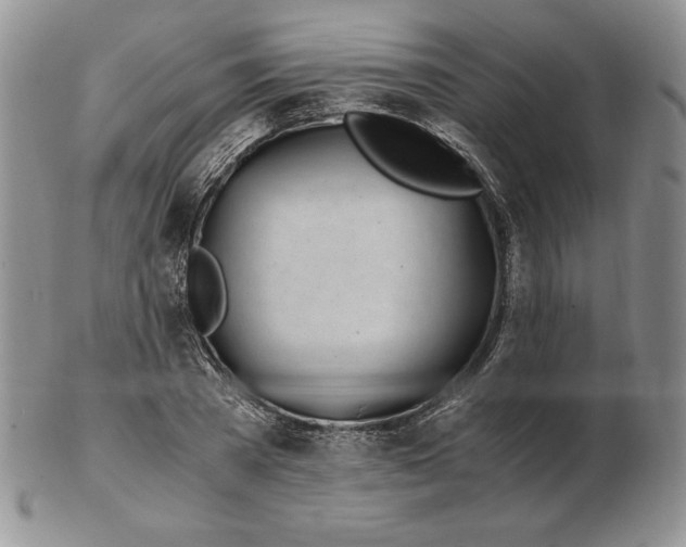 X0000102370785200808221738