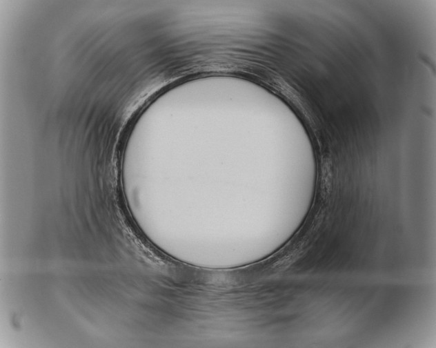 X0000102370787200808221738