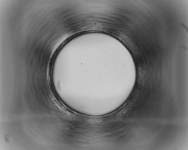 X0000102370788200808221738