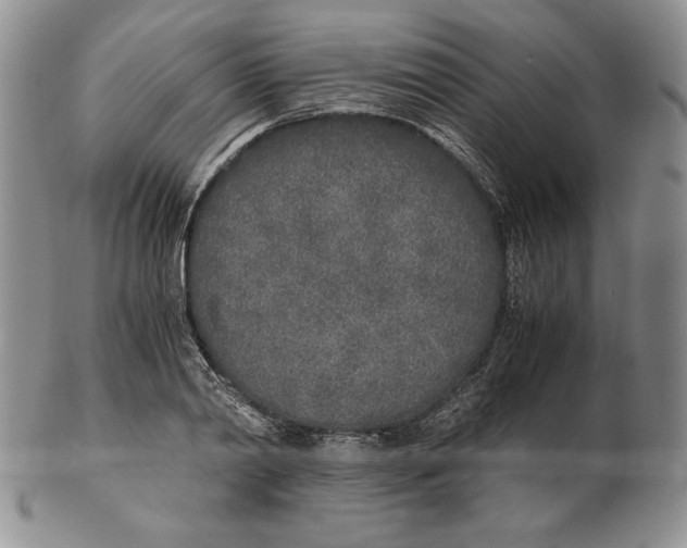 X0000102370790200808221738