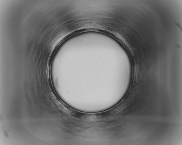 X0000102370791200808221738