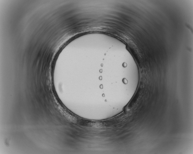 X0000102370792200808221738